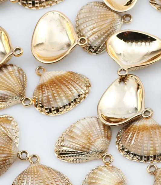 Natural Shell Charm
